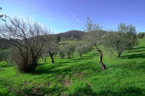 Bed & Breakfast Il Podere La Casina
