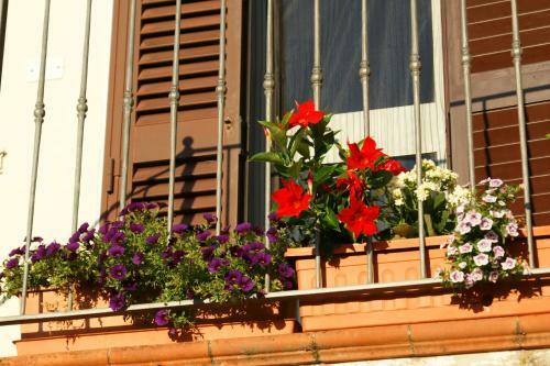 Bed & Breakfast Il Podere La Casina