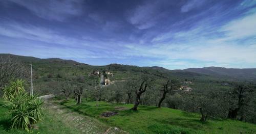 Bed & Breakfast Il Podere La Casina