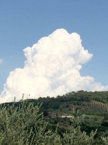 Bed & Breakfast Il Podere La Casina