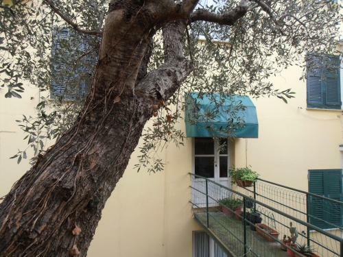 Apartamento Casa Dell'ulivo