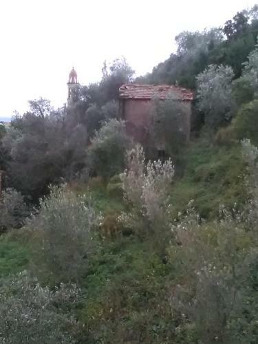 Apartamento Casa Dell'ulivo