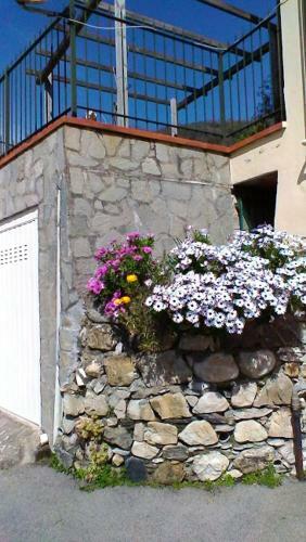 Apartamento Appartamento Bellavista