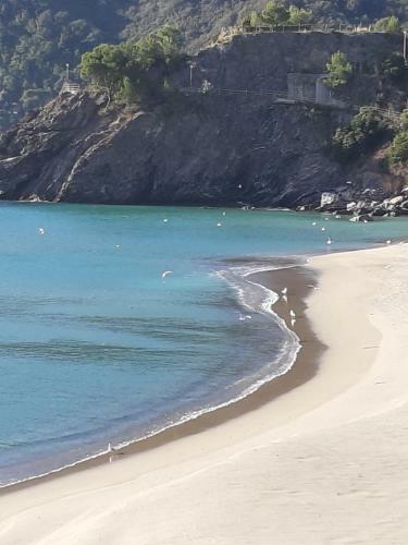 Cinque Terre Moneglia Apartment Splendid Seaview