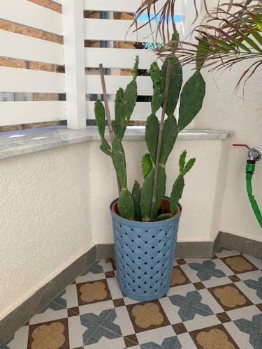 Apartamento Casa Nica