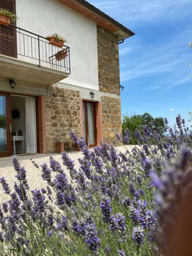 Hostal Podere Belsogno-camera Rosmarino