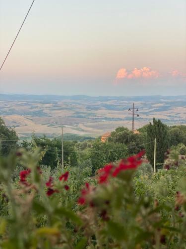 Apartamento Podere Belsogno