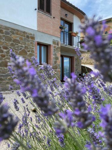 Hostal Podere Belsogno-monolocale Roseto