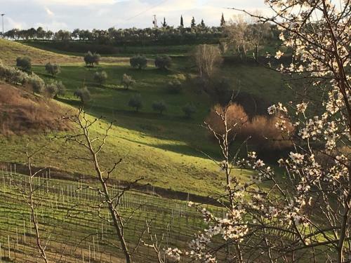 Apartamento Tenuta Delle Rose