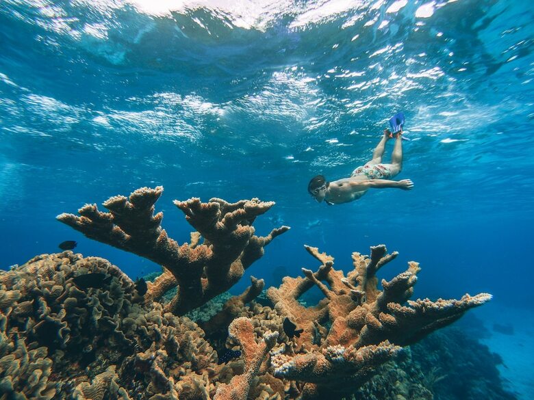 Hotel The Explorean Cozumel All Inclusive