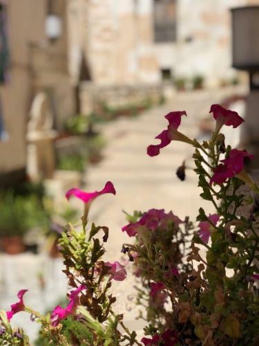 Apartamento Casa Rural Mirador