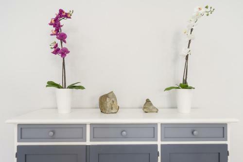 Apartamento Primopiano - Rg12
