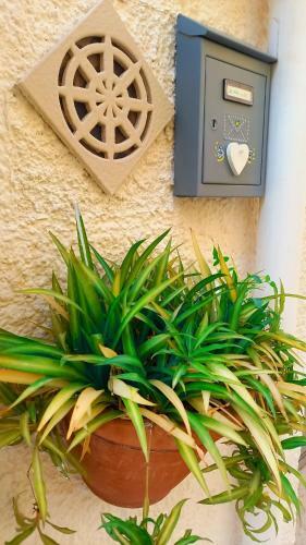 Apartamento La Casa Di Lo