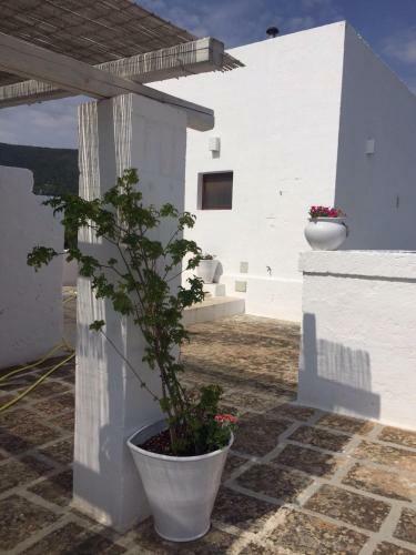 Masseria S.oronzo