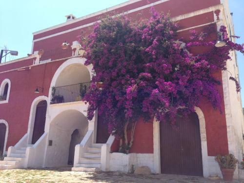 Masseria S.oronzo