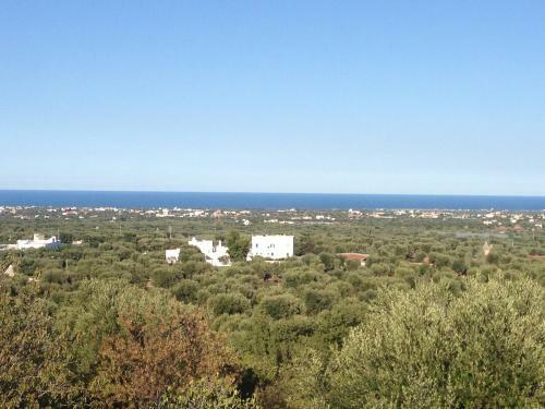 Masseria S.oronzo