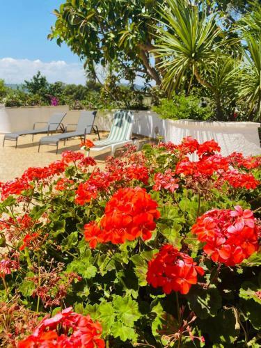 Villa Vista Mare - Con Veranda E Giardino