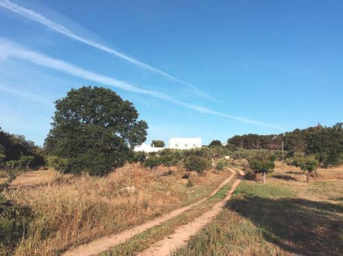 Bed & Breakfast Masseria Fenicia