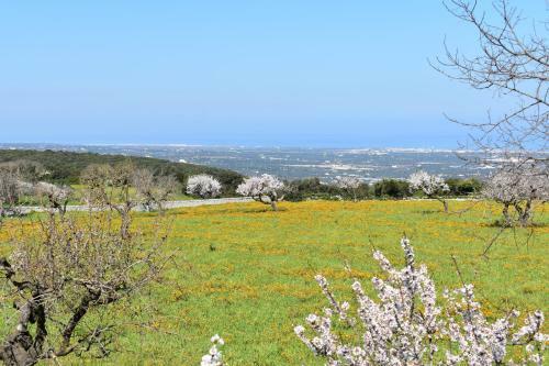 Agroturismo Gorgo Rinaldi - Locazioni Brevi