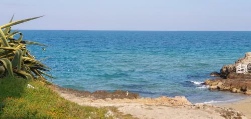 Agroturismo Gorgo Rinaldi - Locazioni Brevi