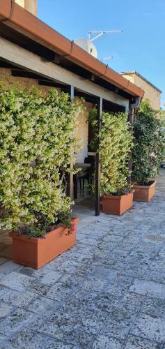 Agroturismo Gorgo Rinaldi - Locazioni Brevi