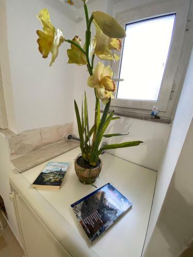Apartamento Amaremonopoli