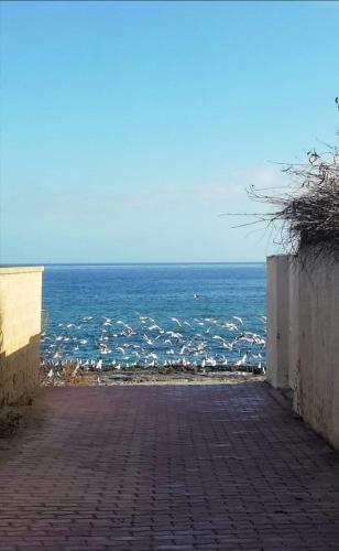 Apartamento Casa Dei Girasoli