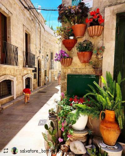 Apartamento La Casa Del Lampione