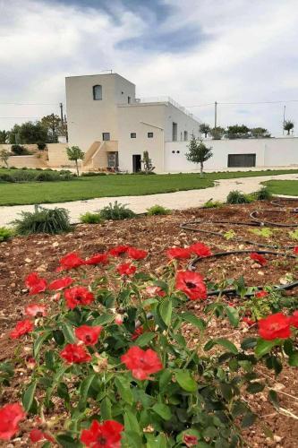 Villa Masseria Viti Bianche
