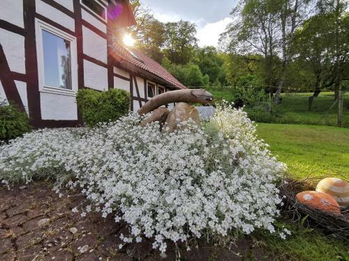 Agroturismo Ferienhof Ehlers