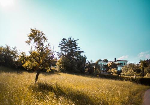 Bed & Breakfast Unter Den Linden