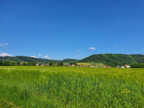 Apartamento Ferienwohnung Zum Wandergl�ck