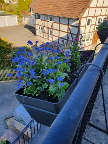 Apartamento Ferienwohnung Zum Wandergl�ck