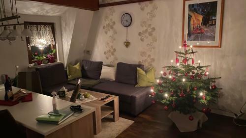 Apartamento Froeschlein - Keine Monteure
