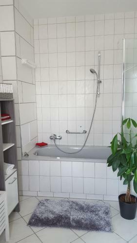 Apartamento Himmelblau