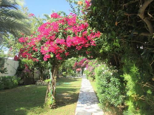 Tsialis Hotel Apartments