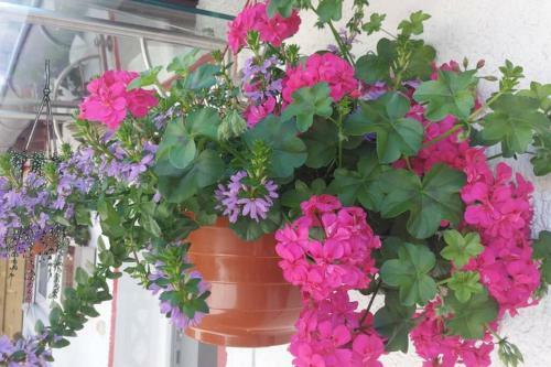 Ferienhaus Gabriela Allg�u