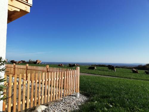 Apartamento Sonnenhub