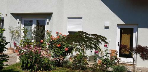 Apartamento Die Ferienwohnung Im Gr�nen