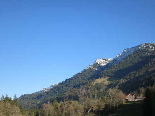 Apartamento Allg�u Haus
