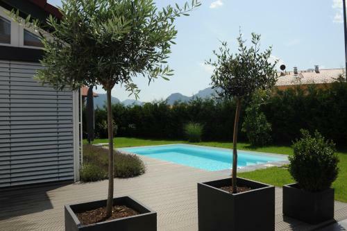 Apartamento Alpin Home