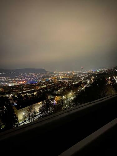 Apartment �ber Den D�chern Jenas Mit Balkon Und Netflix
