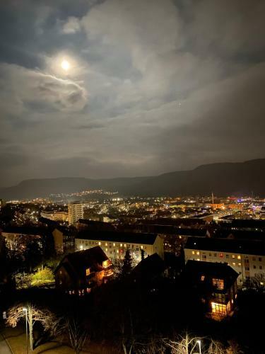 Apartment �ber Den D�chern Jenas Mit Balkon Und Netflix