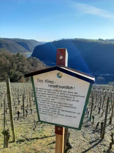 Apartamento Auszeit Rheingauer Rosengasse