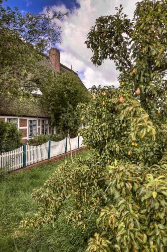 Apartamento Ferienhof Tom Diek