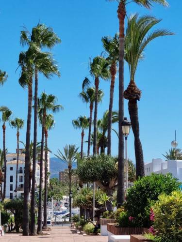 Apartamento Duquesa Village 2338