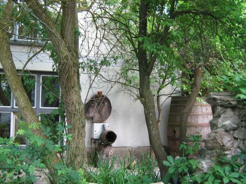 Posada Zum Goldenen L�wen