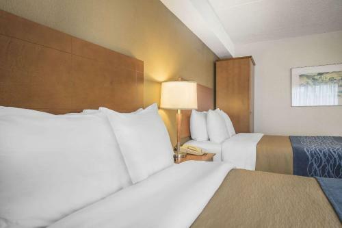 Hotel Comfort Inn Chilliwack