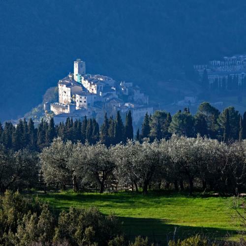 Agroturismo Agriturismo Il Casaletto