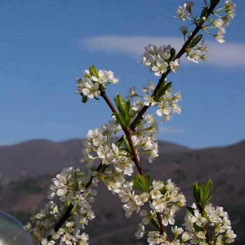 Agroturismo Agriturismo Il Casaletto